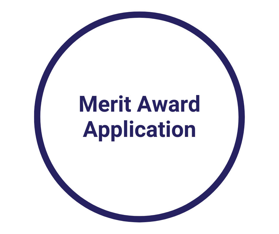 Merit Award