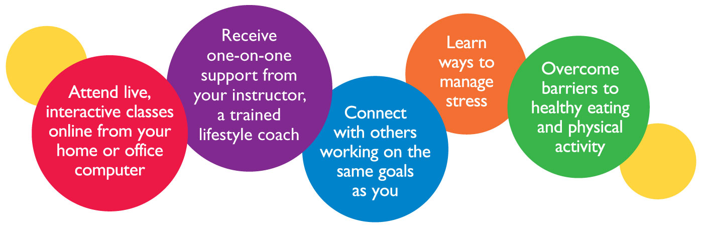 circles explaining what will happen during the 12-month program
